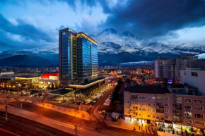 Отель Radisson Blu Hotel, Kayseri  Кайсери